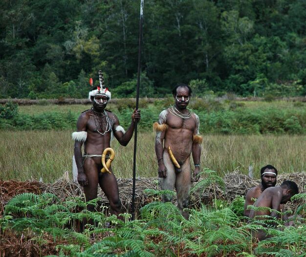 aborigjenët me anëtarë të zgjeruar